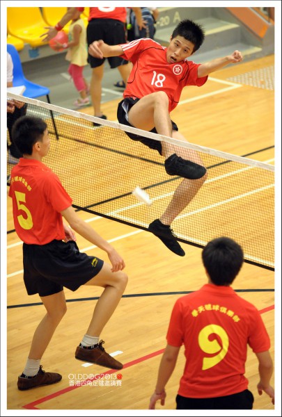 Shuttlecock (38)