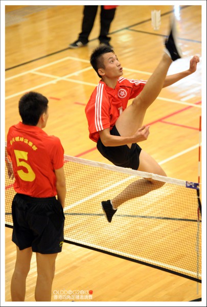 Shuttlecock (39)