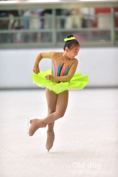 Skating (251)