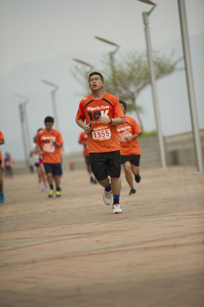 EDS_8225