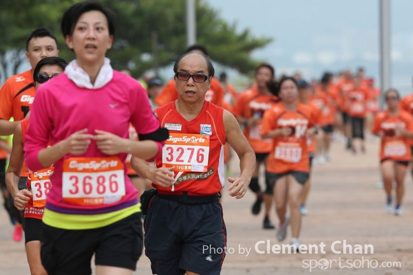 GGS_2013_334
