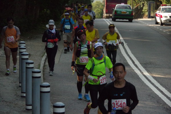 IMGP3154