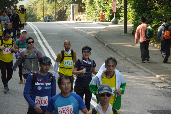 IMGP3190