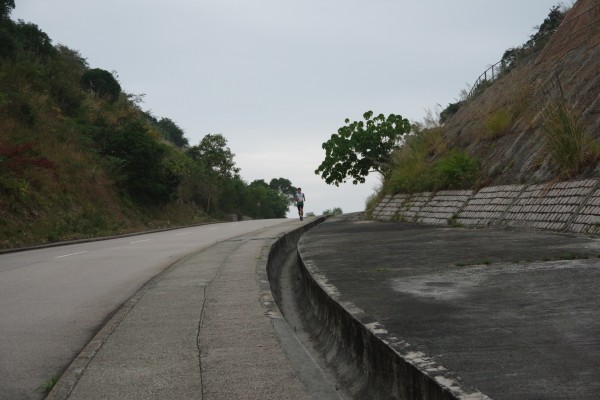 IMGP1525