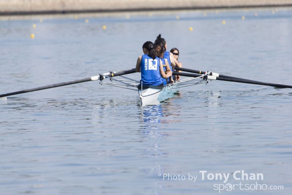 Row-019