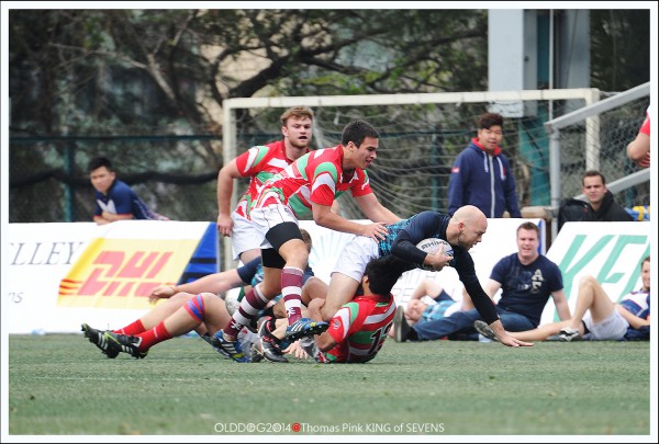 Rugby (6)