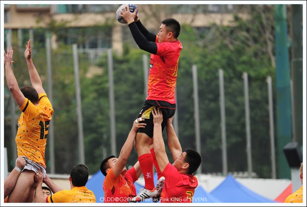 Rugby (9)