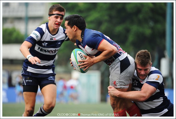 Rugby (15)