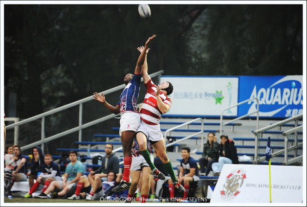 Rugby (60)