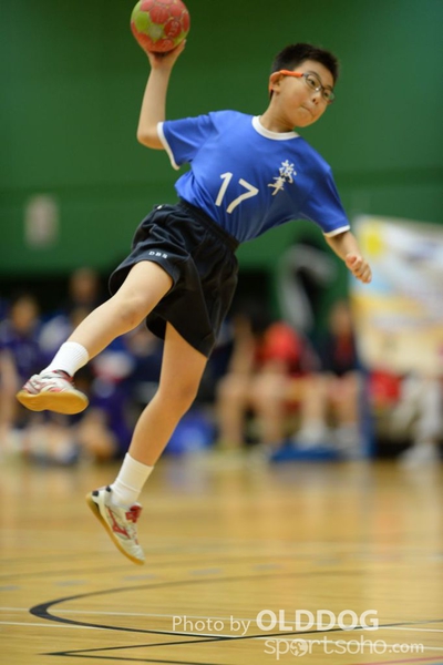 Handball (3)