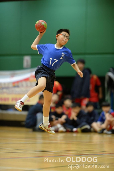 Handball (4)