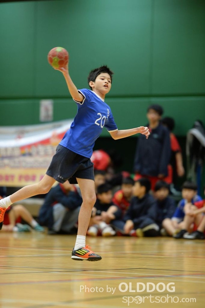 Handball (6)