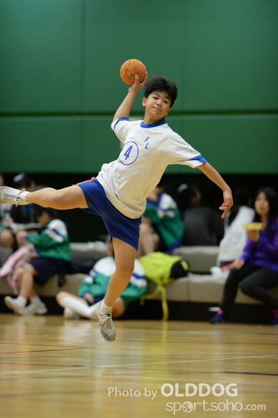 Handball (8)