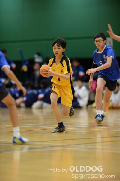 Handball (38)