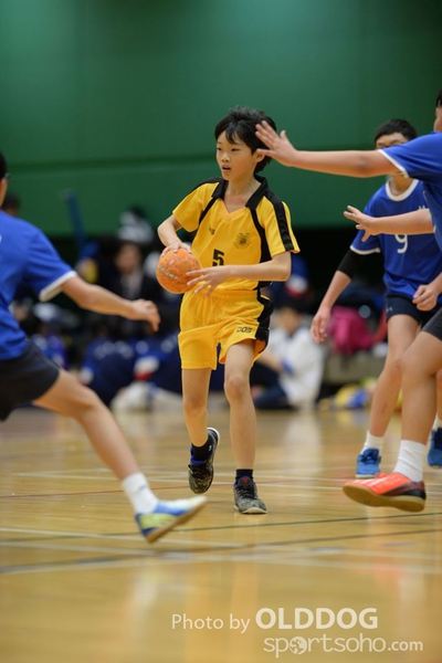Handball (39)