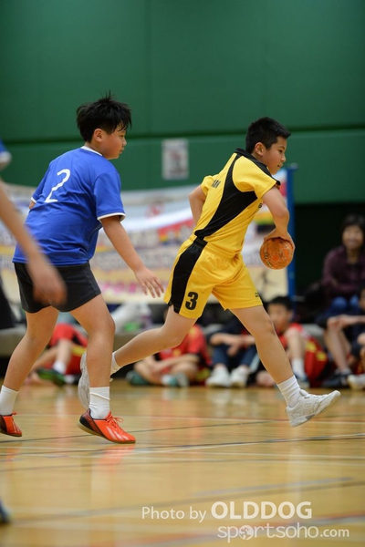 Handball (49)