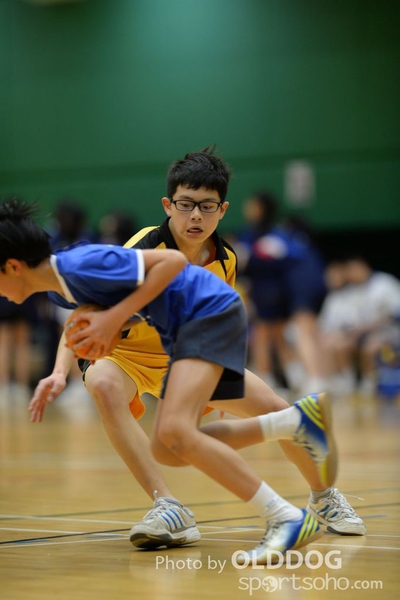 Handball (50)