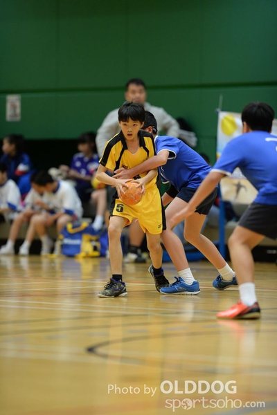Handball (54)