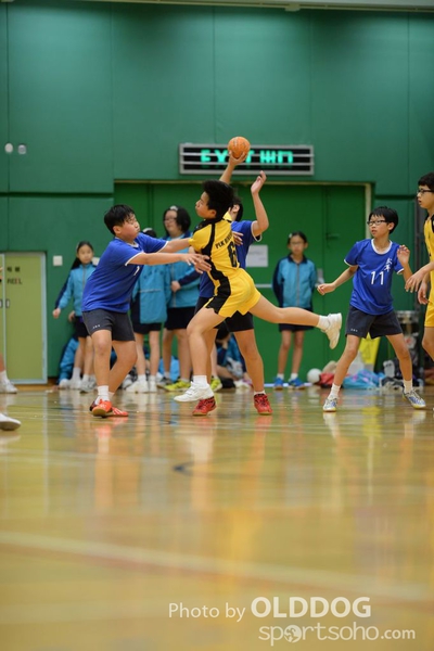 Handball (59)
