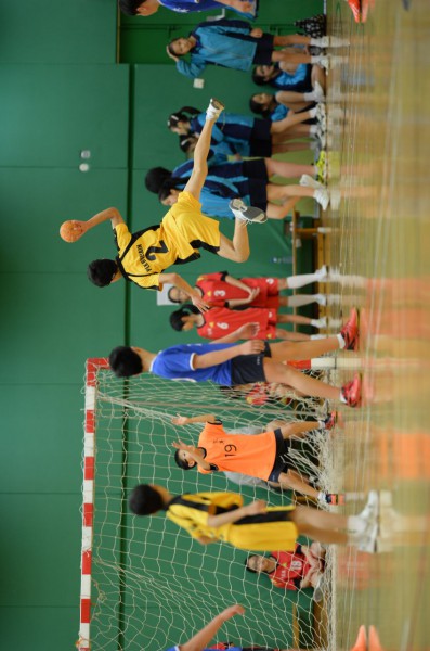 Handball (74)