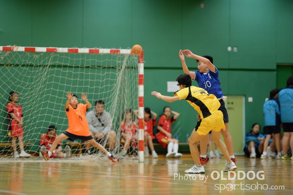 Handball (80)