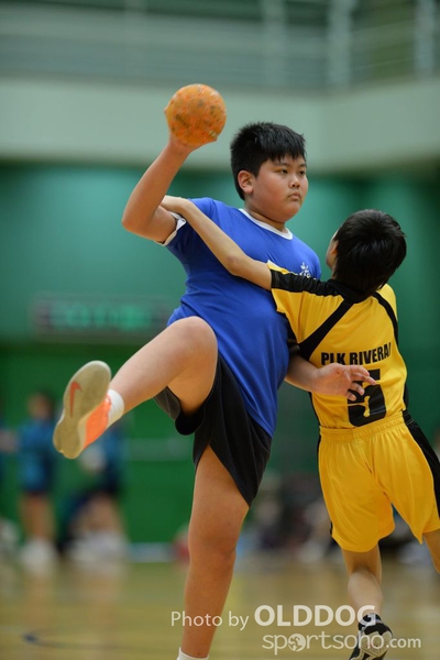 Handball (83)