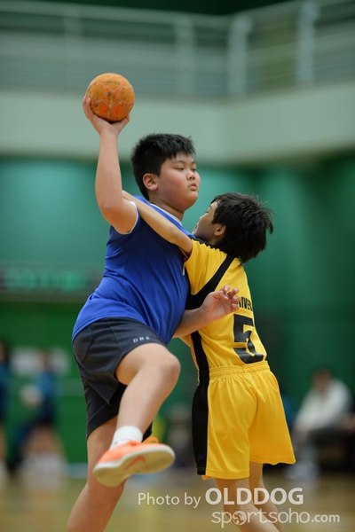 Handball (84)