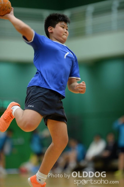 Handball (85)