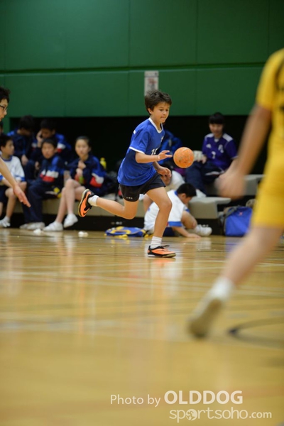 Handball (88)