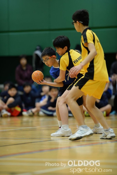 Handball (96)