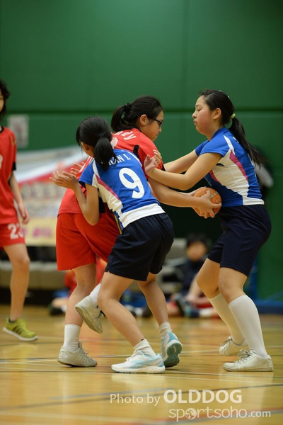 Handball (101)