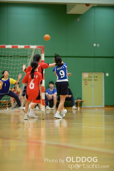 Handball (110)