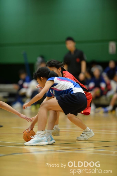 Handball (120)