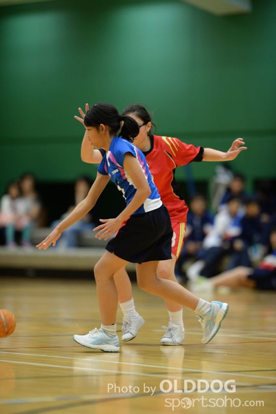Handball (127)