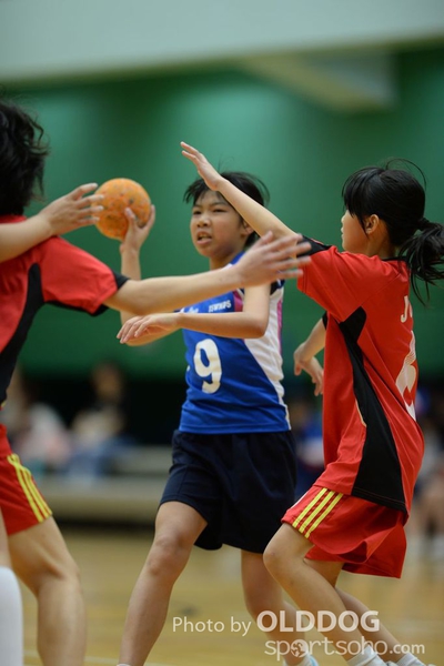 Handball (146)