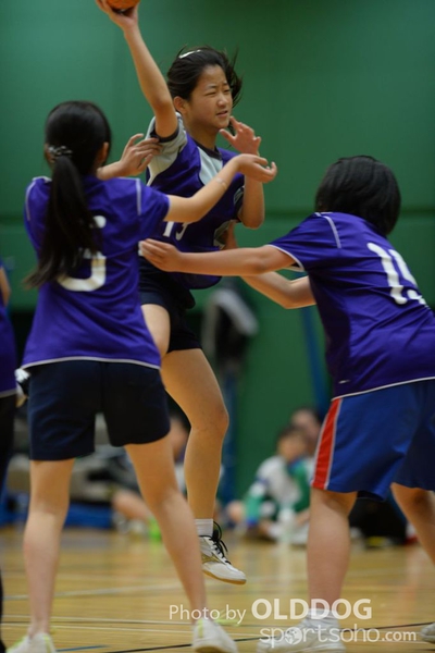 Handball (183)