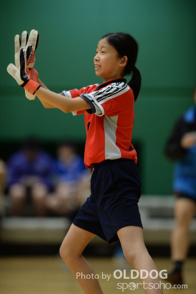 Handball (196)