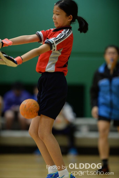 Handball (197)