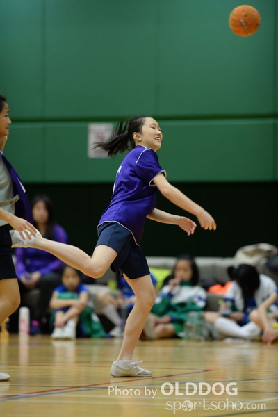 Handball (201)