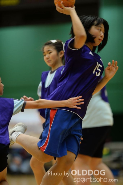 Handball (206)