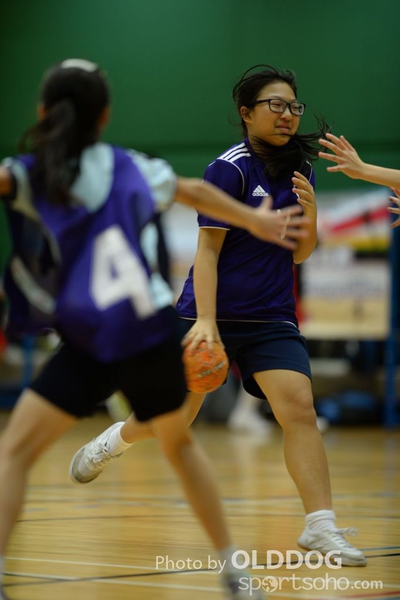 Handball (208)