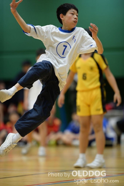 Handball (210)