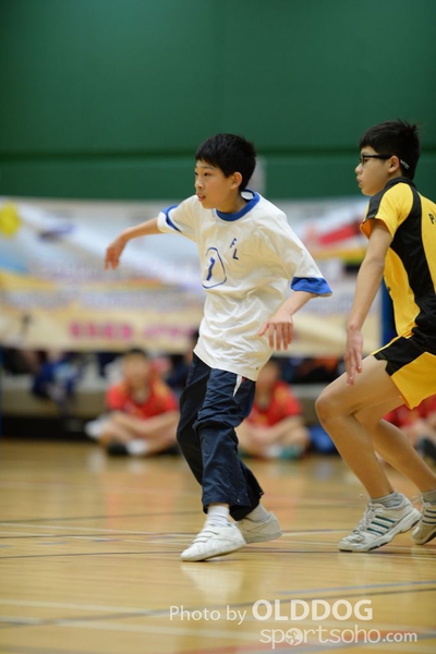 Handball (212)
