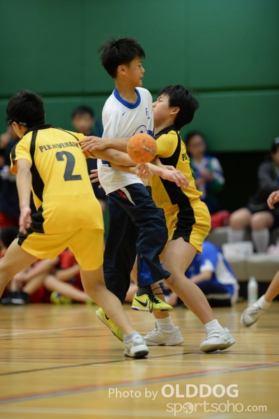 Handball (213)