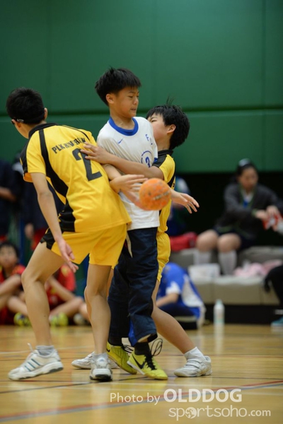Handball (214)