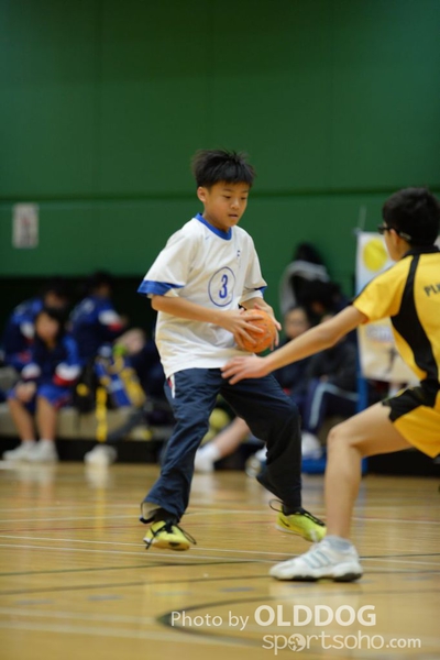 Handball (215)