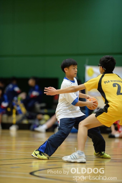 Handball (216)