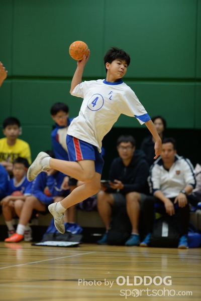 Handball (217)