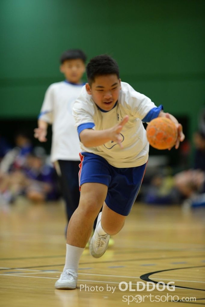 Handball (219)