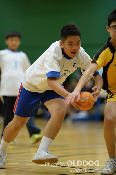Handball (220)